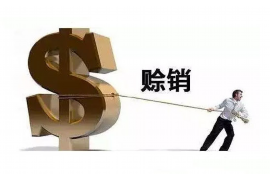 资兴资兴专业催债公司，专业催收